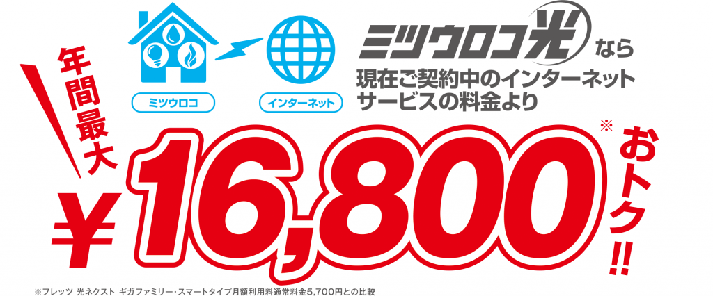 ミツウロコ光　ポイント1